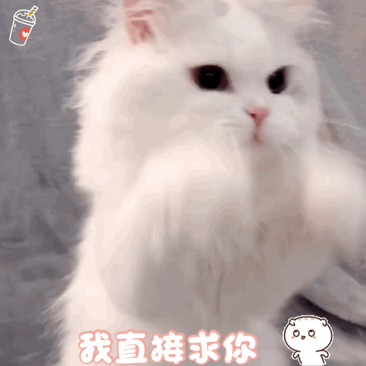 包含苹果手机小猫表情包图片的词条