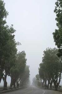 最强女巫苹果手机版-第3张图片-太平洋在线下载 最强女巫苹果手机版-第3张图片-太平洋在线下载
