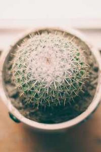 吃播视频大全倍速版苹果版-第2张图片-太平洋在线下载 吃播视频大全倍速版苹果版-第2张图片-太平洋在线下载