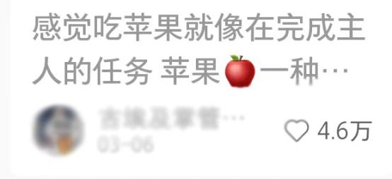全能快刷苹果版刷苹果手机的软件