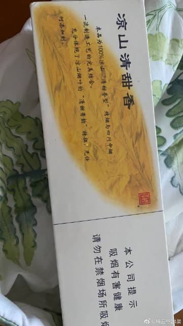 闲蛋苹果版下载蛋仔派对电脑版下载苹果版-第1张图片-太平洋在线下载