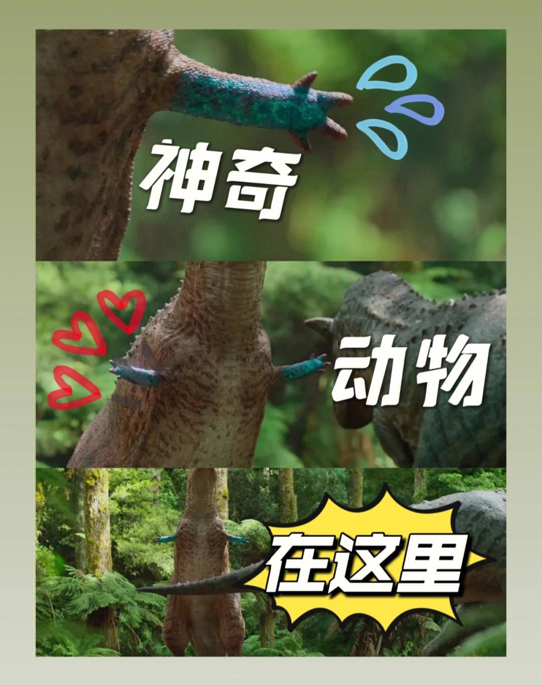 听嘛星球苹果版蛋播星球最新版ios