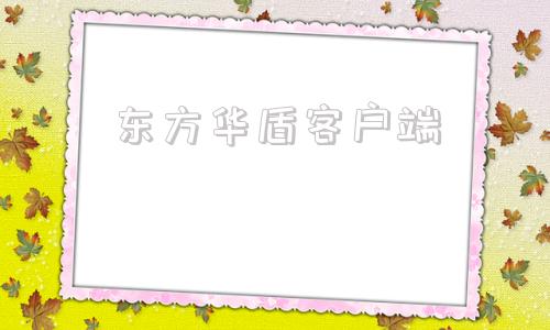 东方华盾客户端华夏u盾在手机上怎么使用