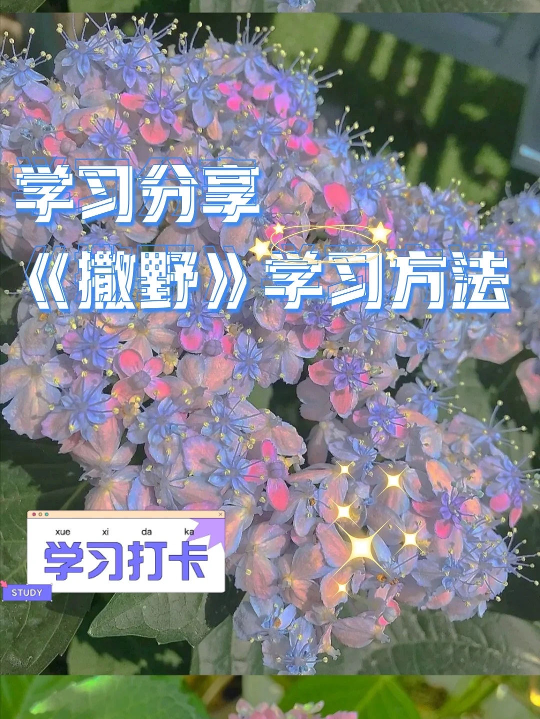 睡眠的学法客户端交管12123学法减分题库及答案