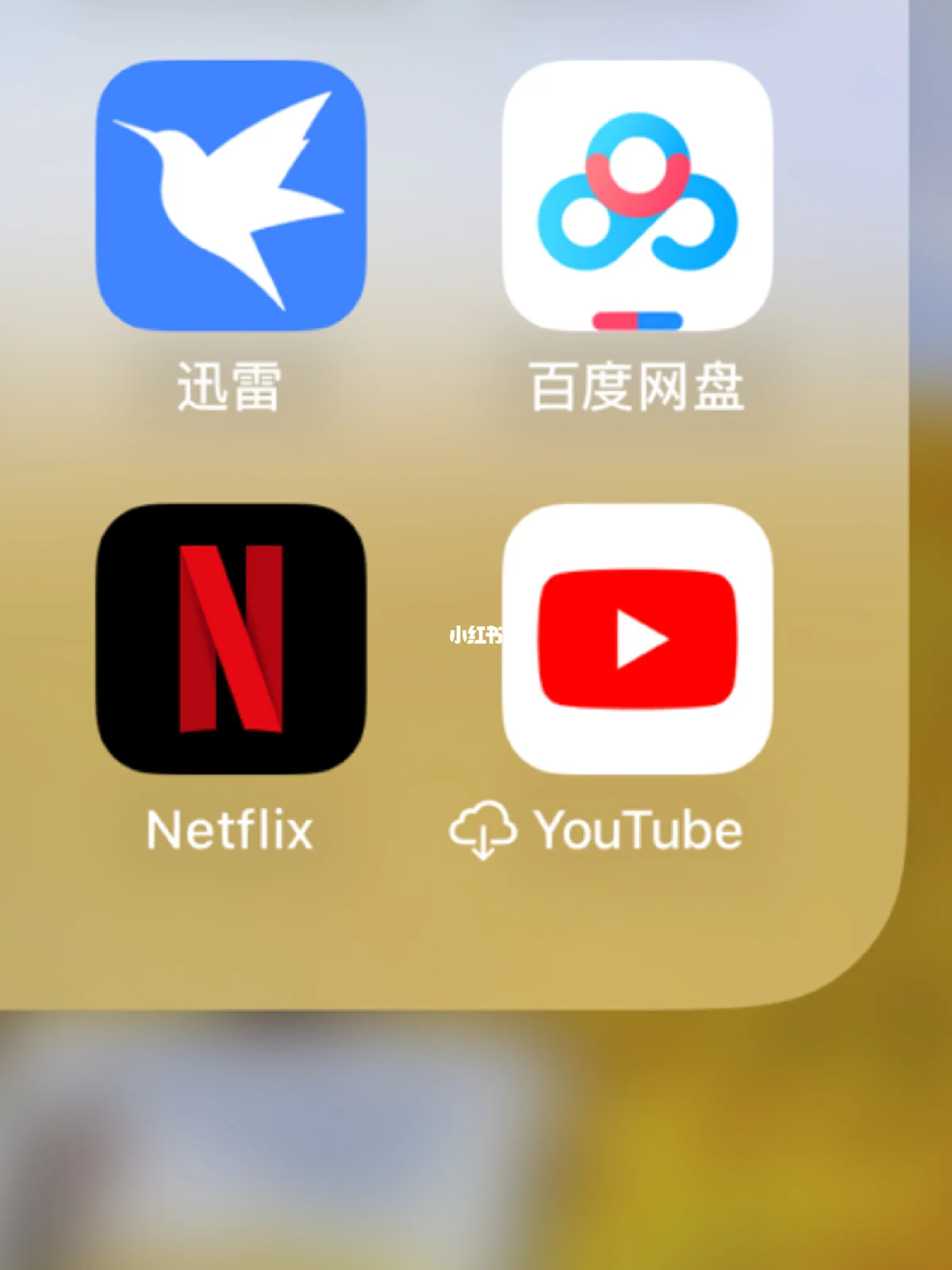 讯雷下载苹果版苹果系统13迅雷下载