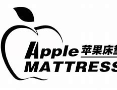 下载solive苹果版谷歌app下载苹果版官网