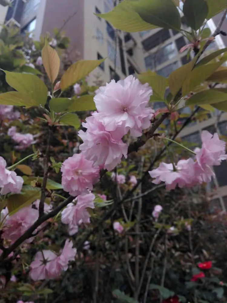 关于开源大智慧手机版下载的信息-第5张图片-QuickQ官网 关于开源大智慧手机版下载的信息-第5张图片-QuickQ官网