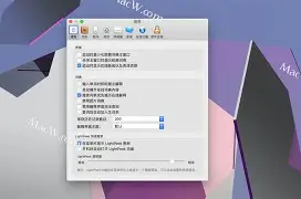 灵格斯词典手机版官网(灵格斯词霸app官方下载)-第4张图片-QuickQ官网 灵格斯词典手机版官网(灵格斯词霸app官方下载)-第4张图片-QuickQ官网