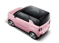 苹果版熊猫(熊猫app苹果版本)-第4张图片-QuickQ官网