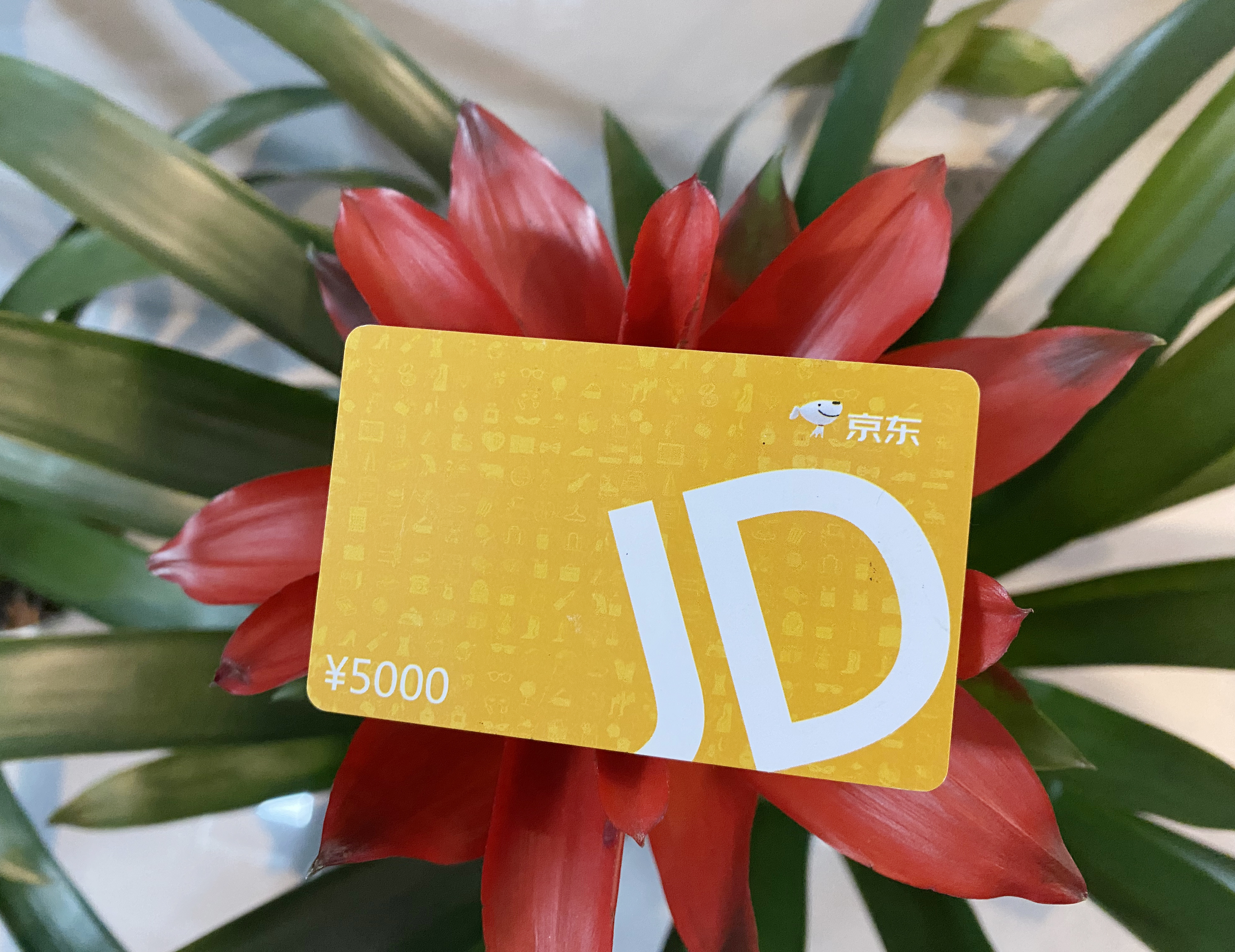 京东卡怎么用手机版(京东卡怎么用手机版绑定)-第2张图片-QuickQ官网