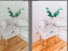 苹果版的lr高级版(ios lr 高级功能)-第5张图片-QuickQ官网