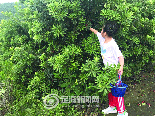 定海新闻网手机版(定海新闻网手机版官网)-第5张图片-QuickQ官网 定海新闻网手机版(定海新闻网手机版官网)-第5张图片-QuickQ官网